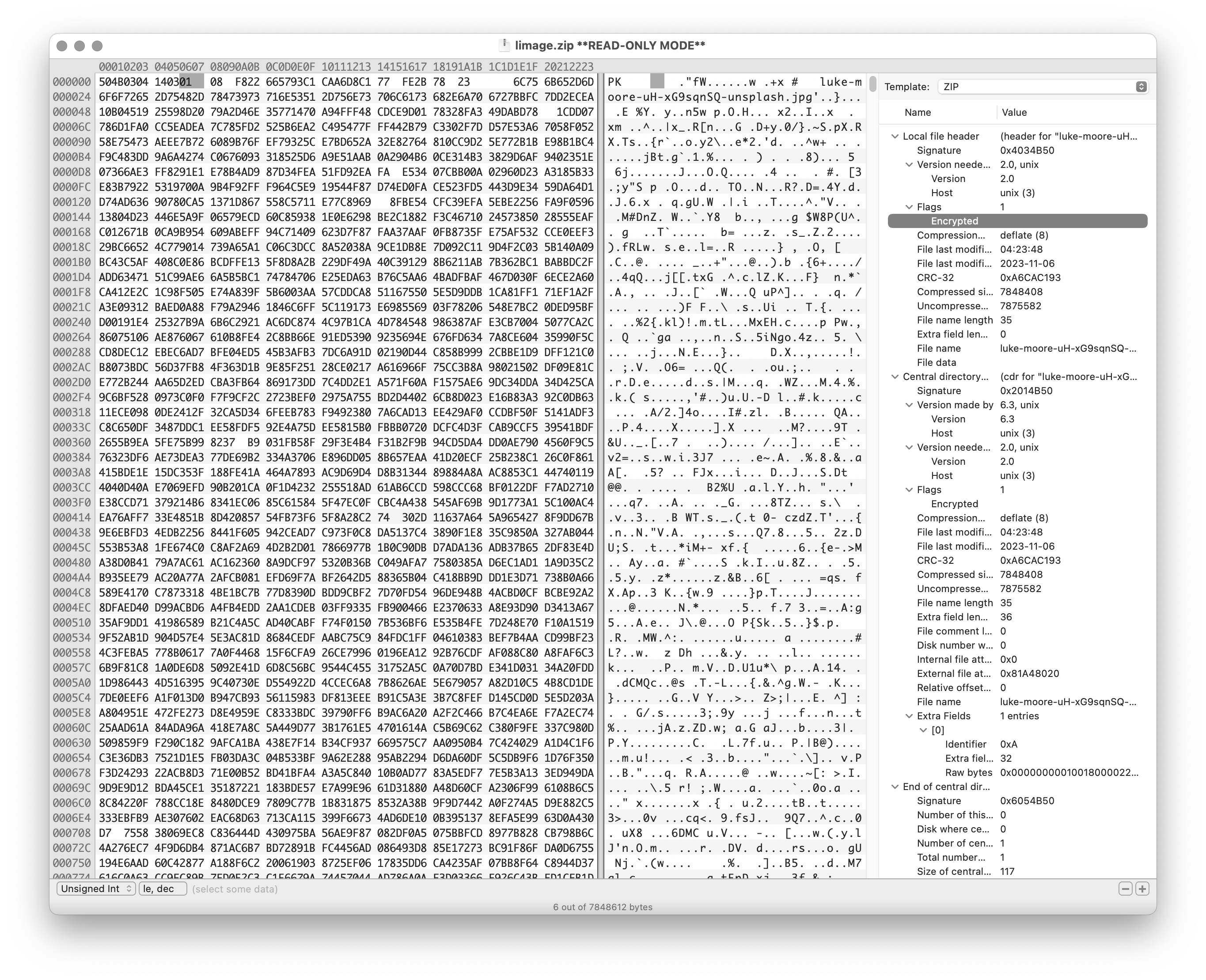 Hexeditor mit Dateninterpretation